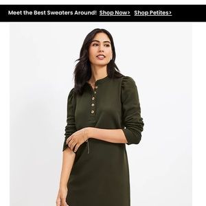 Ann Taylor LOFT cotton above the knee green dress.